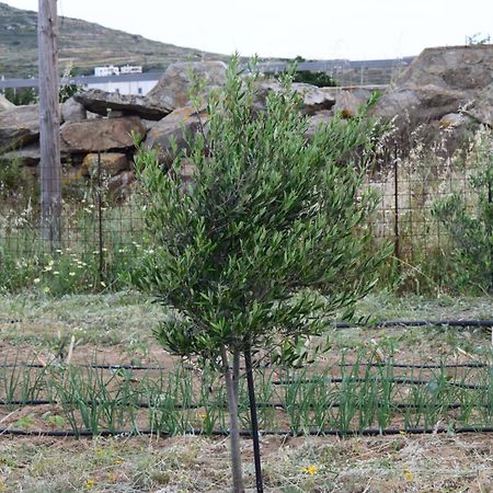 شقة Ktima Panagia Glinado Naxos المظهر الخارجي الصورة